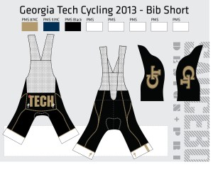 GT2013_velocity_BIBSHORT2